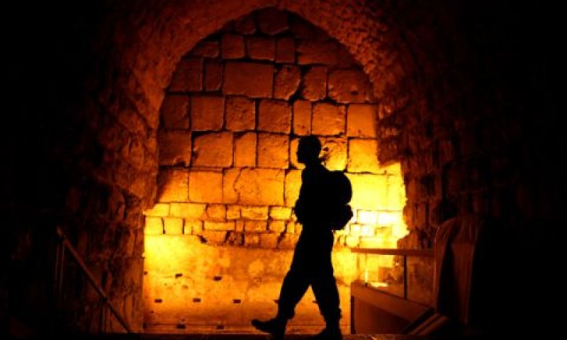 [צילום: אביר סולטן/פלאש 90]