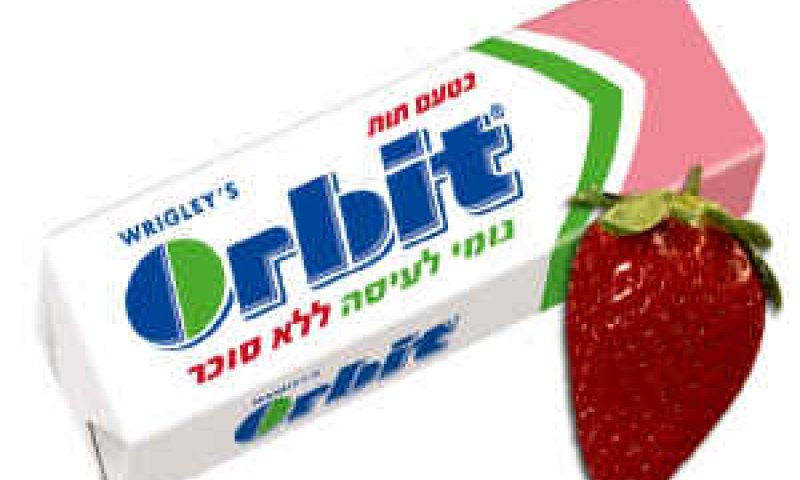 [צילום: יח"צ]