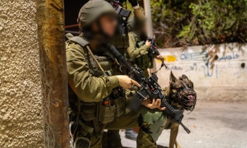 פעילות כוחותינו [צילום: דובר צה''ל]