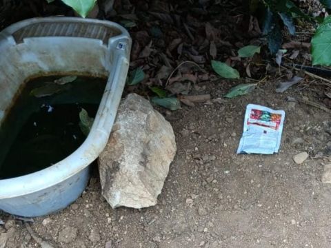 פתיונות היער [צילום: דוברות המשטרה]