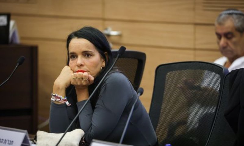 ח"כ פרידמן. תרכז את הערות ועדת הכלכלה [צילום: נועם מושקוביץ/דוברות הכנסת]