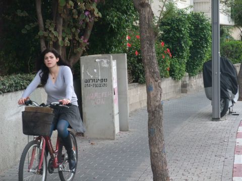 [צילום: איתמר לוין]