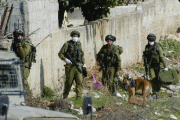 צילום: AP