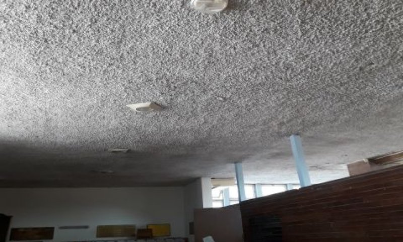 אסבסט פריך מותז בתקרת מבואת בית המדרש הישן של מדרשית נעם בפרדס חנה [צילום: מיה מונשיין-לוי]