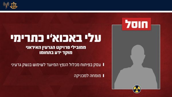 [צילום: דובר צה"ל]
