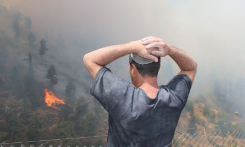 השריפה משתוללת [צילום: איציק וולף]