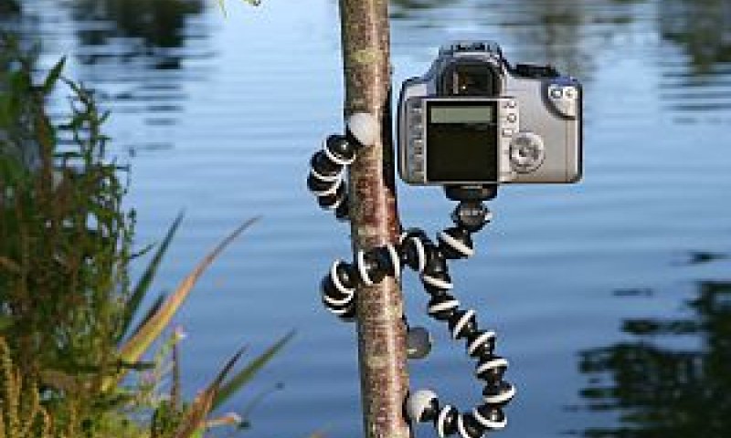 Gorillapod