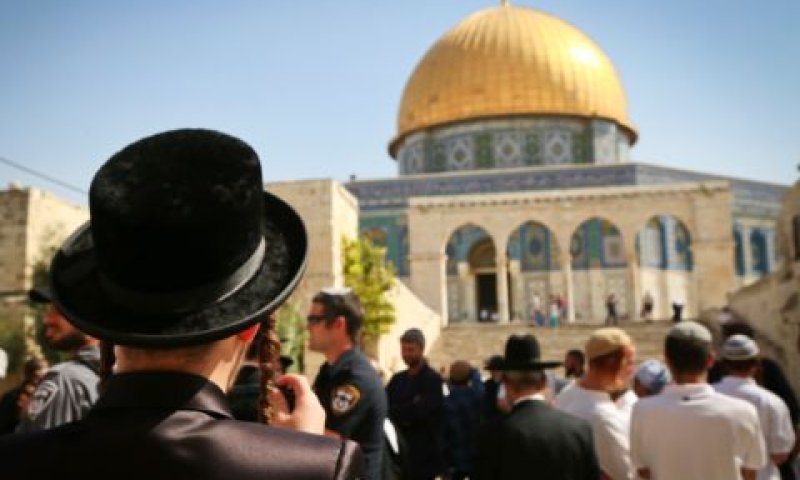הר הבית. ביקור בהודעה מראש [צילום: יעקב לדרמן, פלאש 90]