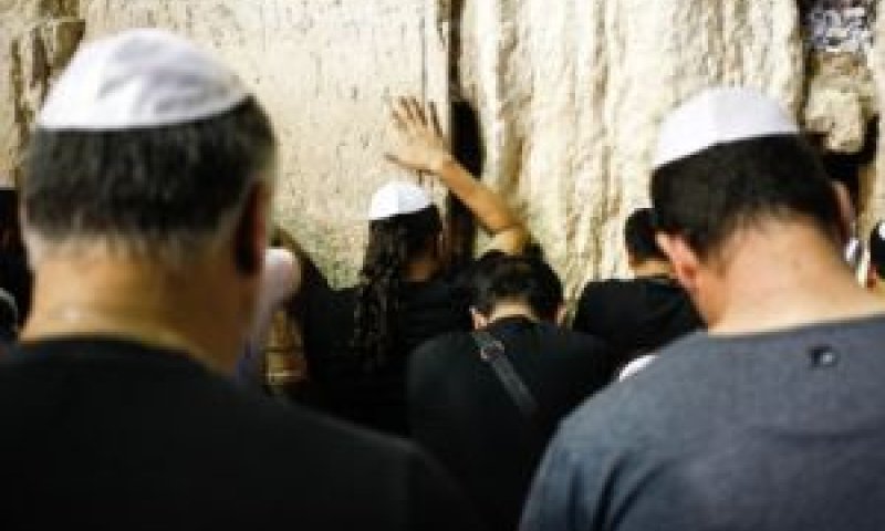 [צילום: פלאש 90]