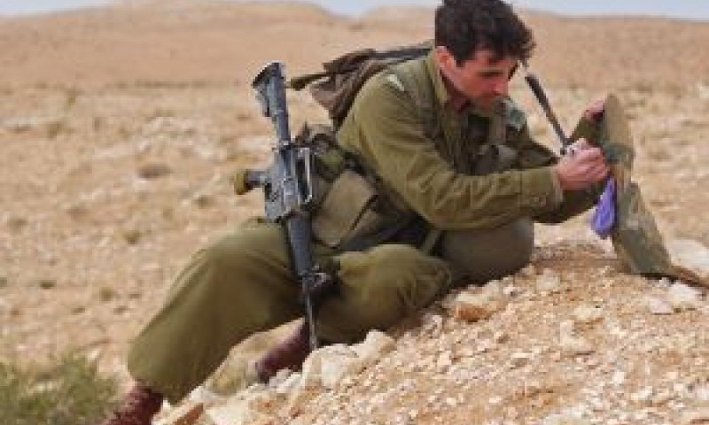 [צילום: דו"צ]