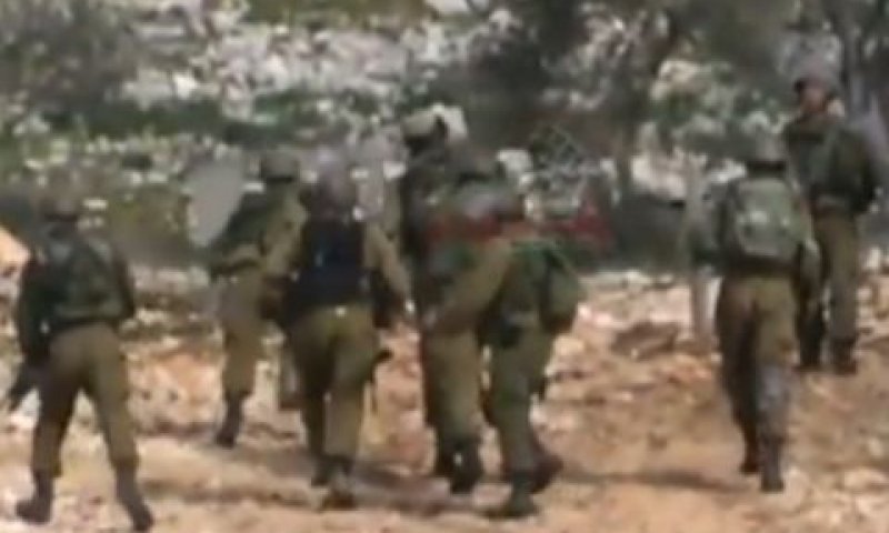 החיילים פעלו בחוסר מקצועיות
