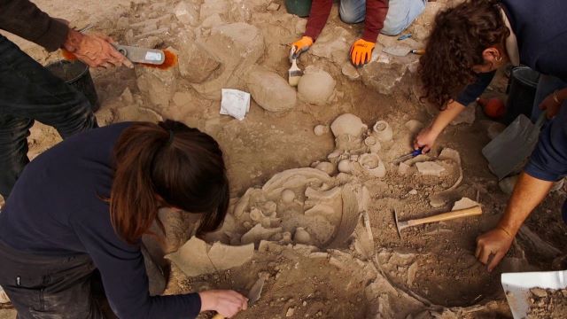 הוצאת הכלים הקדומים מהאדמה [צילום: אמיל אלג'ם רשות העתיקות]