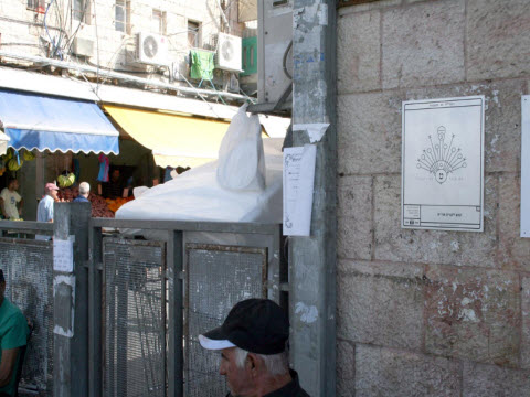 כולם שותפים [צילום: יח"צ]