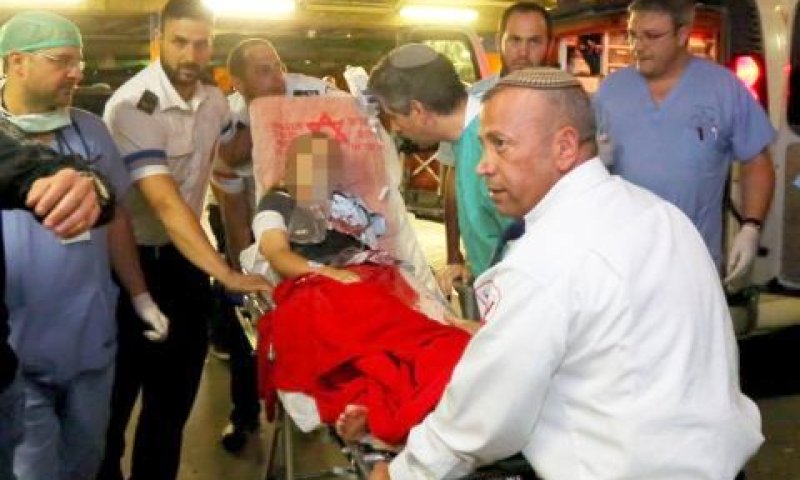 הילדה שנפצעה בפיגוע [צילום: פלאש 90]