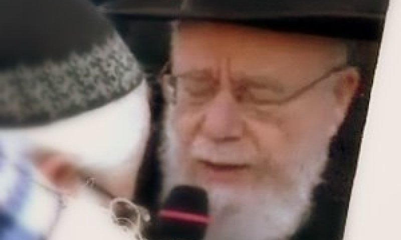 הרב דוב ליאור
