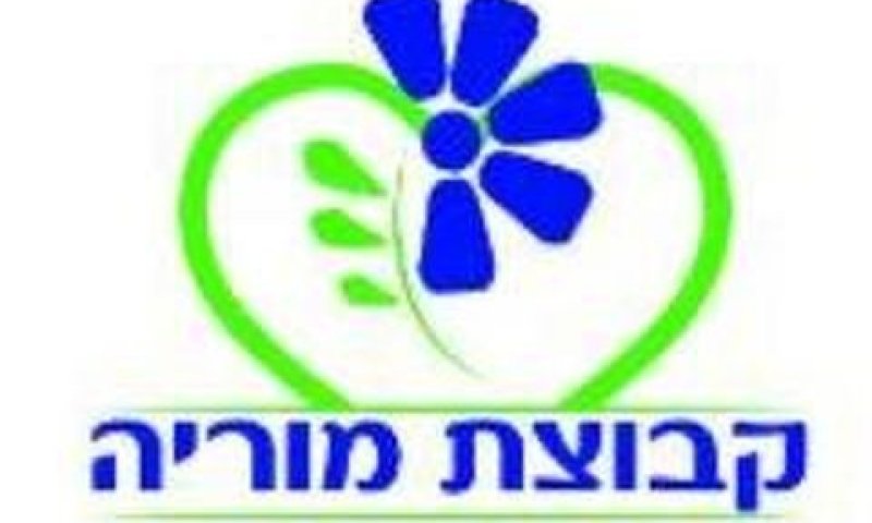 חשש לערבוב נכסים בין החברות