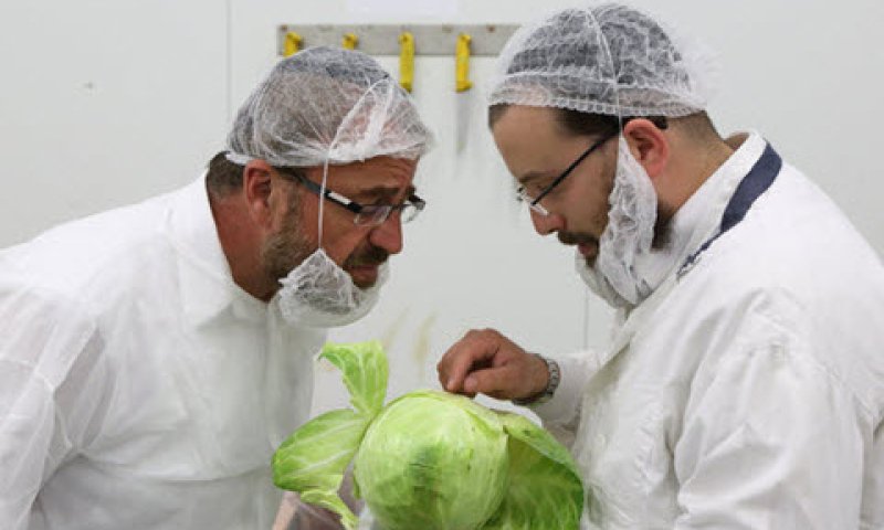 [צילום: יעקב נחומי/פלאש 90]