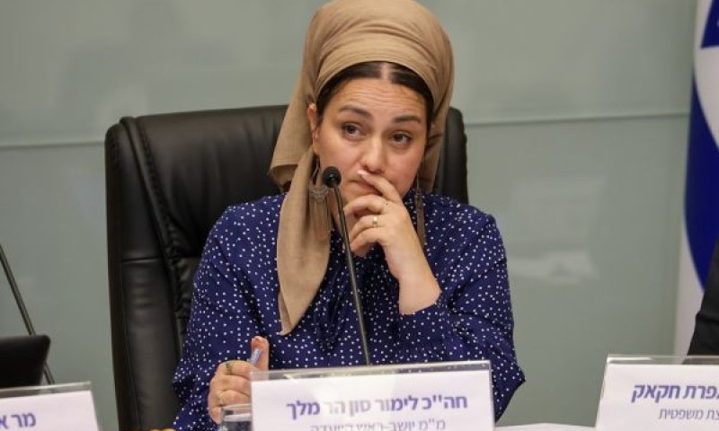 איסור הנפת דגל הרש"פ בגופים מתוקצבים [צילום: דני שם-טוב/דוברות הכנסת]