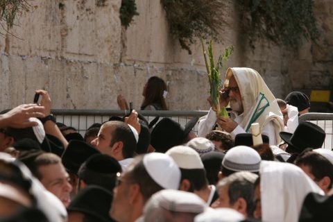 [צילום: פלאש 90]