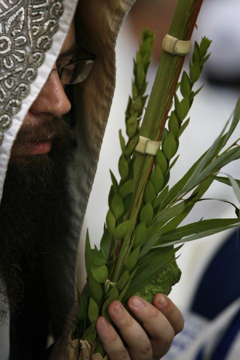 [צילום: פלאש 90]