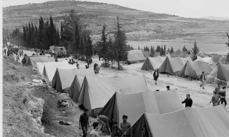 העלייה לסבסטיה [צילום: משה מילנר, לע"מ]