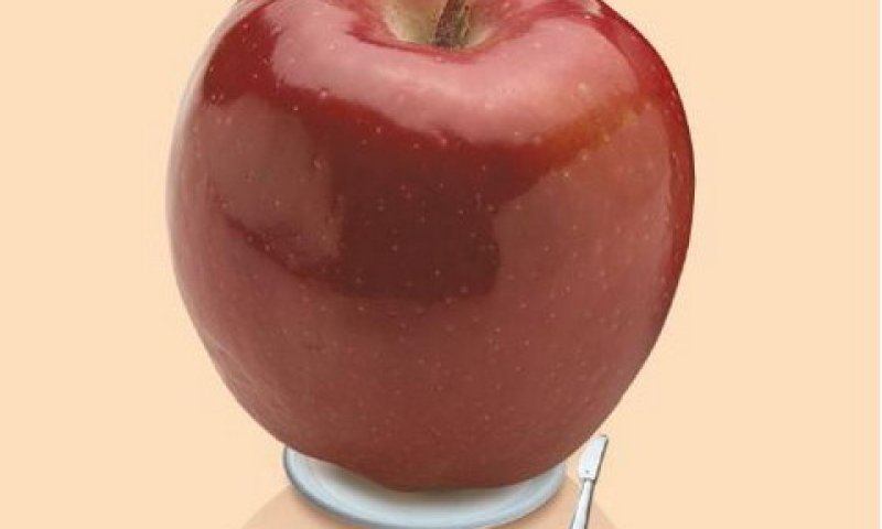 המודעה