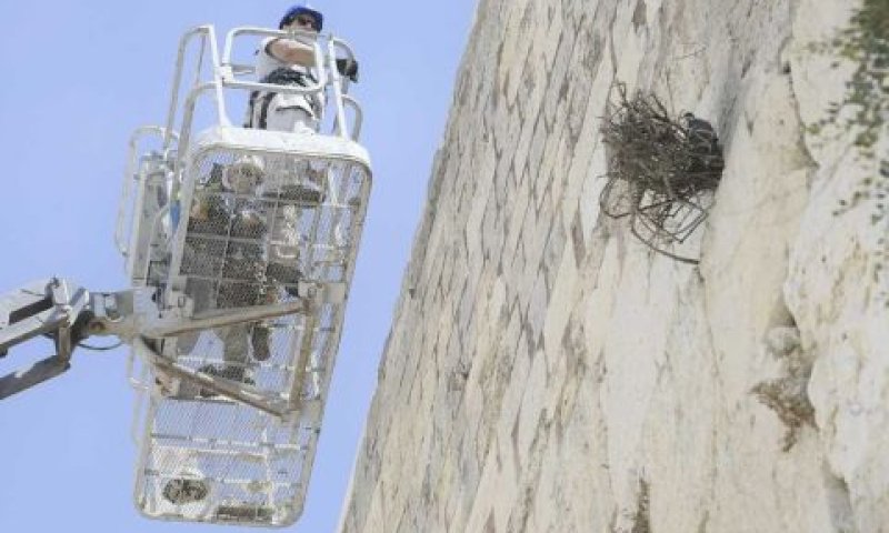 [צילום: הקרן למורשת הכותל המערבי]