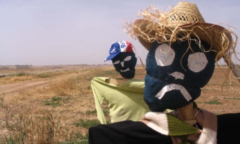 דחלילי ההטעייה בשדות עין השלושה