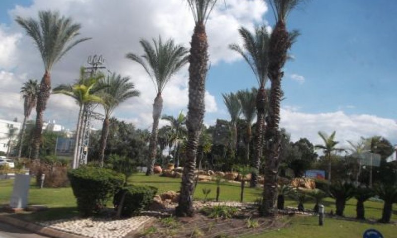 בגלל חילופי ראש העירייה