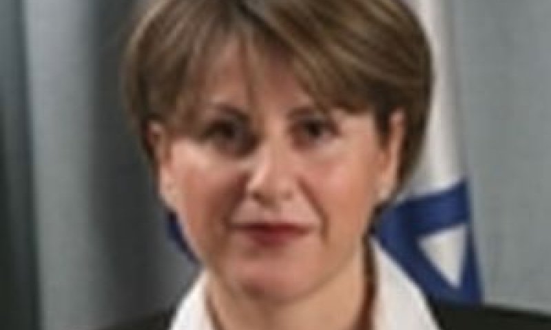 נסרין בשארה-כריני. נהרה בתאונה
