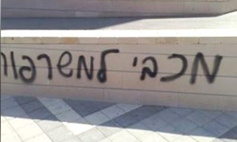 [צילום: ספורט 5]