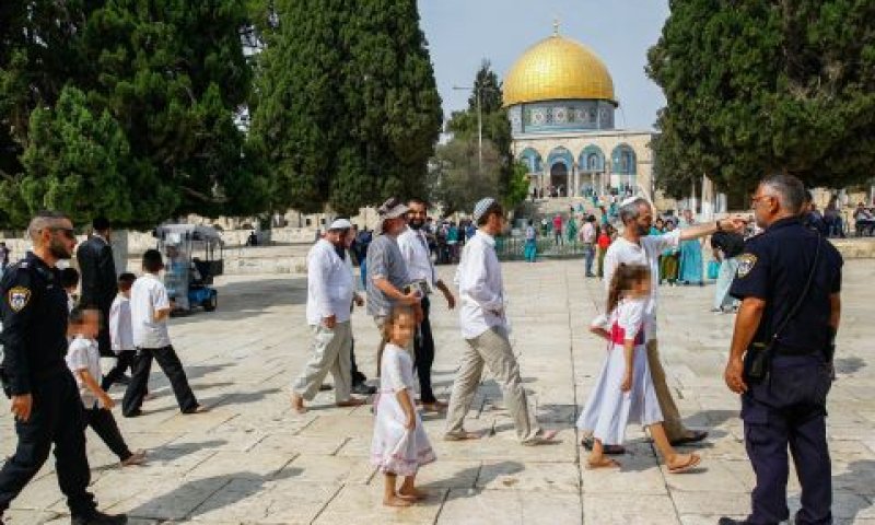 בלי תשמישי קדושה [צילום: סילמן חאדר, פלאש 90]