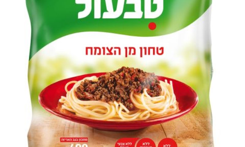 [צילום: סטודיו אסם]