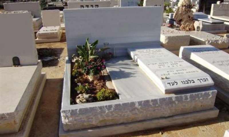 [צילום: אתר החברה]