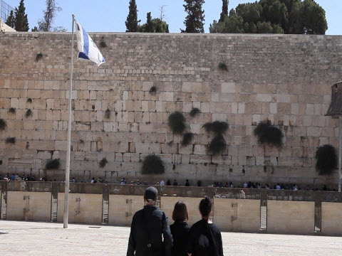 [צילום: יח"צ]