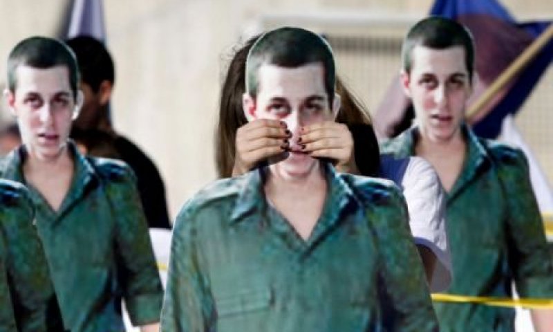 שליט. כללים מסודרים [צילום: פלאש 90]
