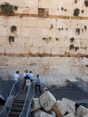 [צילום: פנחס מרגוליס]