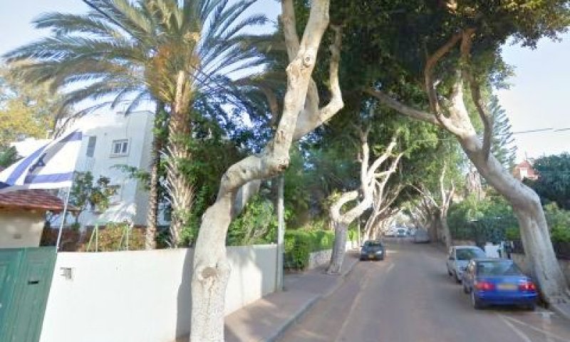רחוב אוסישקין בהרצליה [צילום: סטריט ויוויו]