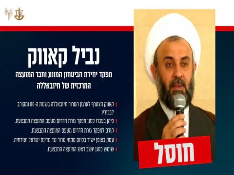 [צילום: דובר צה"ל]