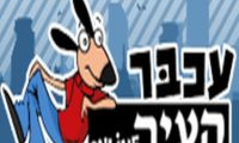 עכבר העיר [צילום: עכבר העיר]