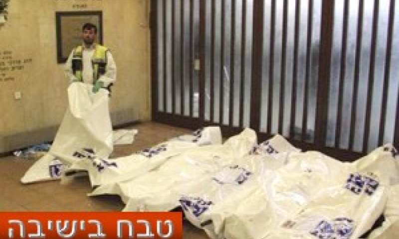 [צילום: AP]