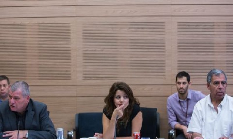 חה"כ מיקי לוי ומיקי רוזנטל [צילום: יונתן זינדל/פלאש 90]