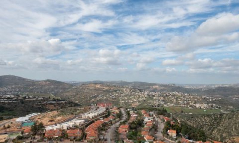 עלי. כמעט הכל הוסדר [צילום: שריה דיאמנט, פלאש 90]