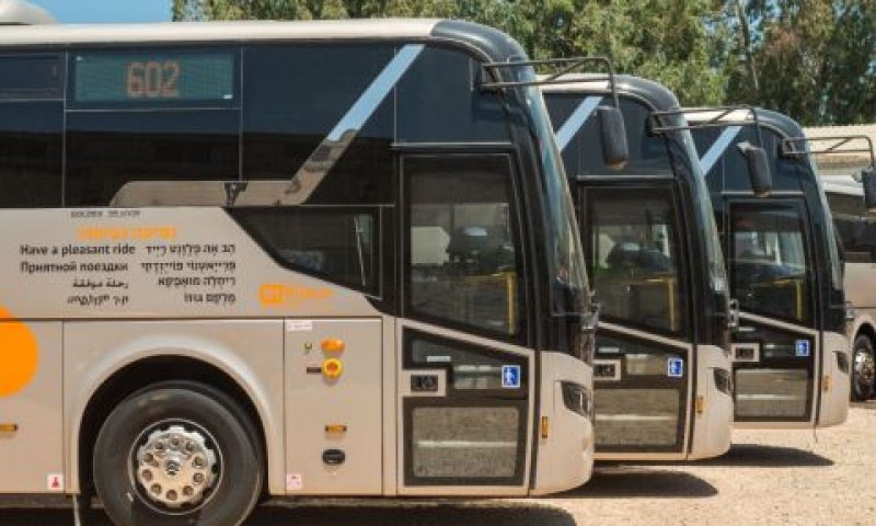 יותר מ-50 אוטובוסים חשמליים [צילום: יח"צ]