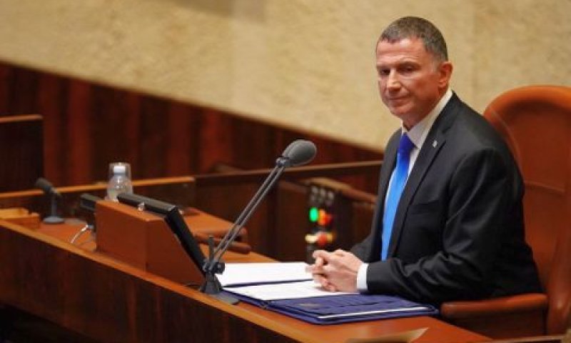 אדלשטיין. "בג"ץ מחריב את הכנסת" [צילום: עדינה ולמן, הכנסת]