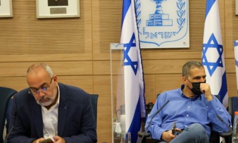 מוסי רז ואוסאמה סעדי [צילום: דני שם-טוב/דוברות הכנסת]