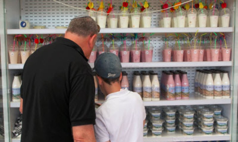 מה ההבדל? [צילום: פלאש 90]