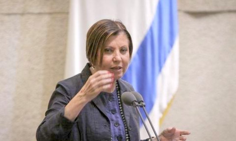 גלאון. שיימינג [צילום: יצחק הררי/דוברות הכנסת]