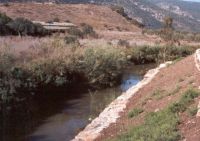 הטבע - צרכן מים לגיטימי