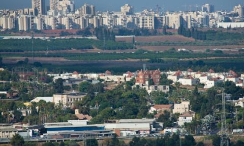 [צילום: משה שי, פלאש 90]
